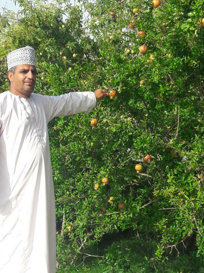 Abu Omair Jabal Shams House Hotel Al Hamra Ngoại thất bức ảnh