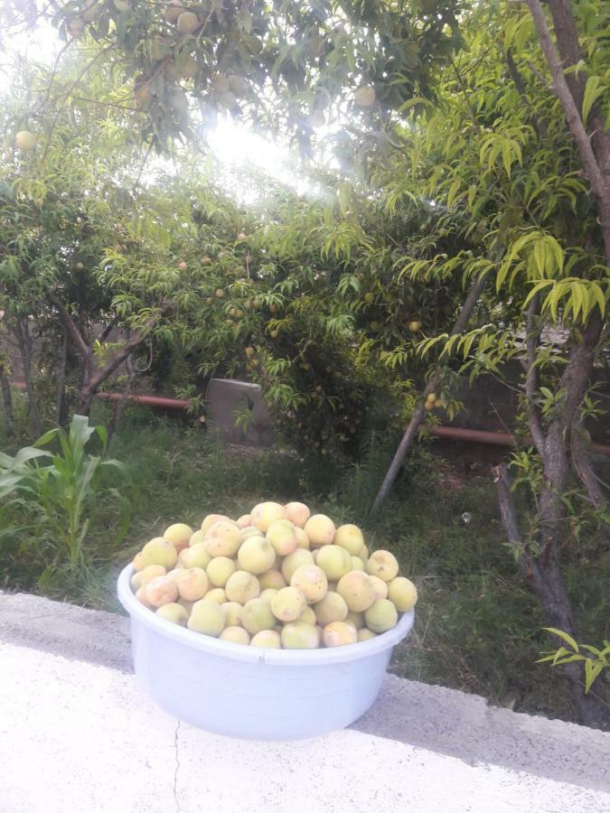 Abu Omair Jabal Shams House Hotel Al Hamra Ngoại thất bức ảnh
